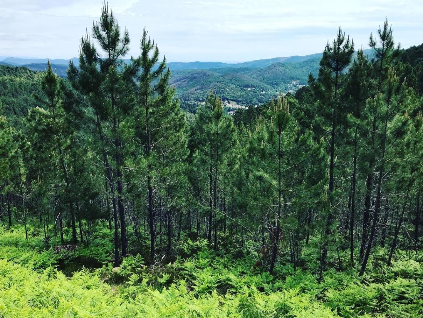 Detente Au Coeur Des Cevennes Besseges Exterior foto
